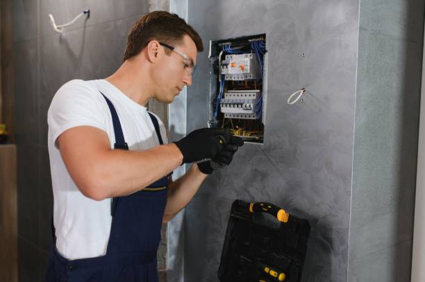 Best Electric Panel Repair  in Roscommon, MI