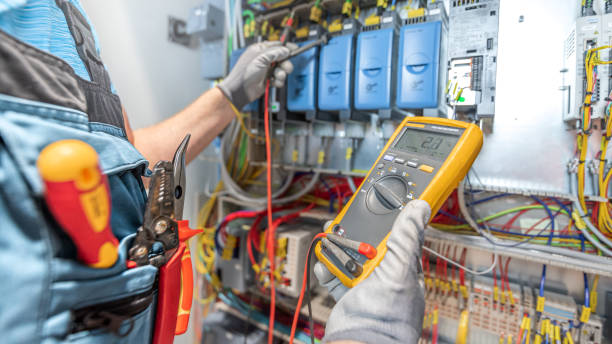 Best Electrician for Home Renovation  in Roscommon, MI